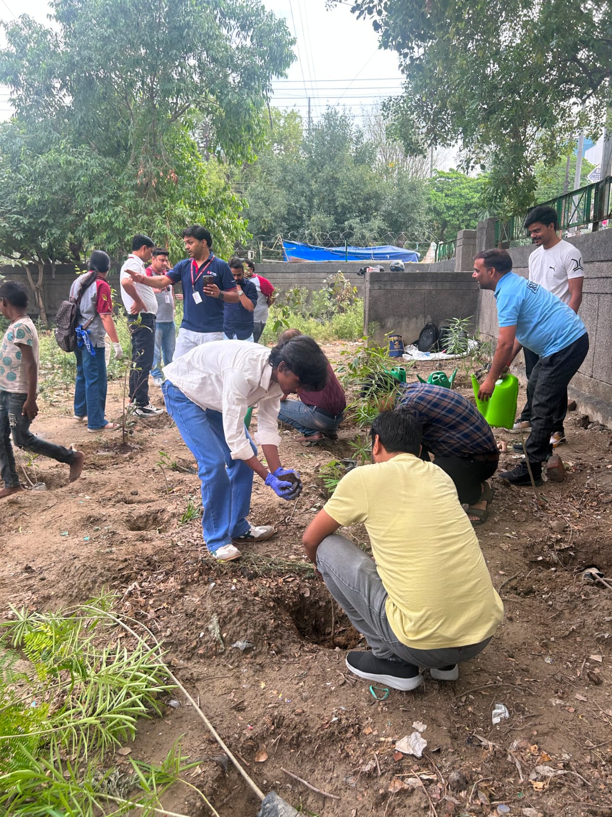 A group of volunteers participating in a tree planting event