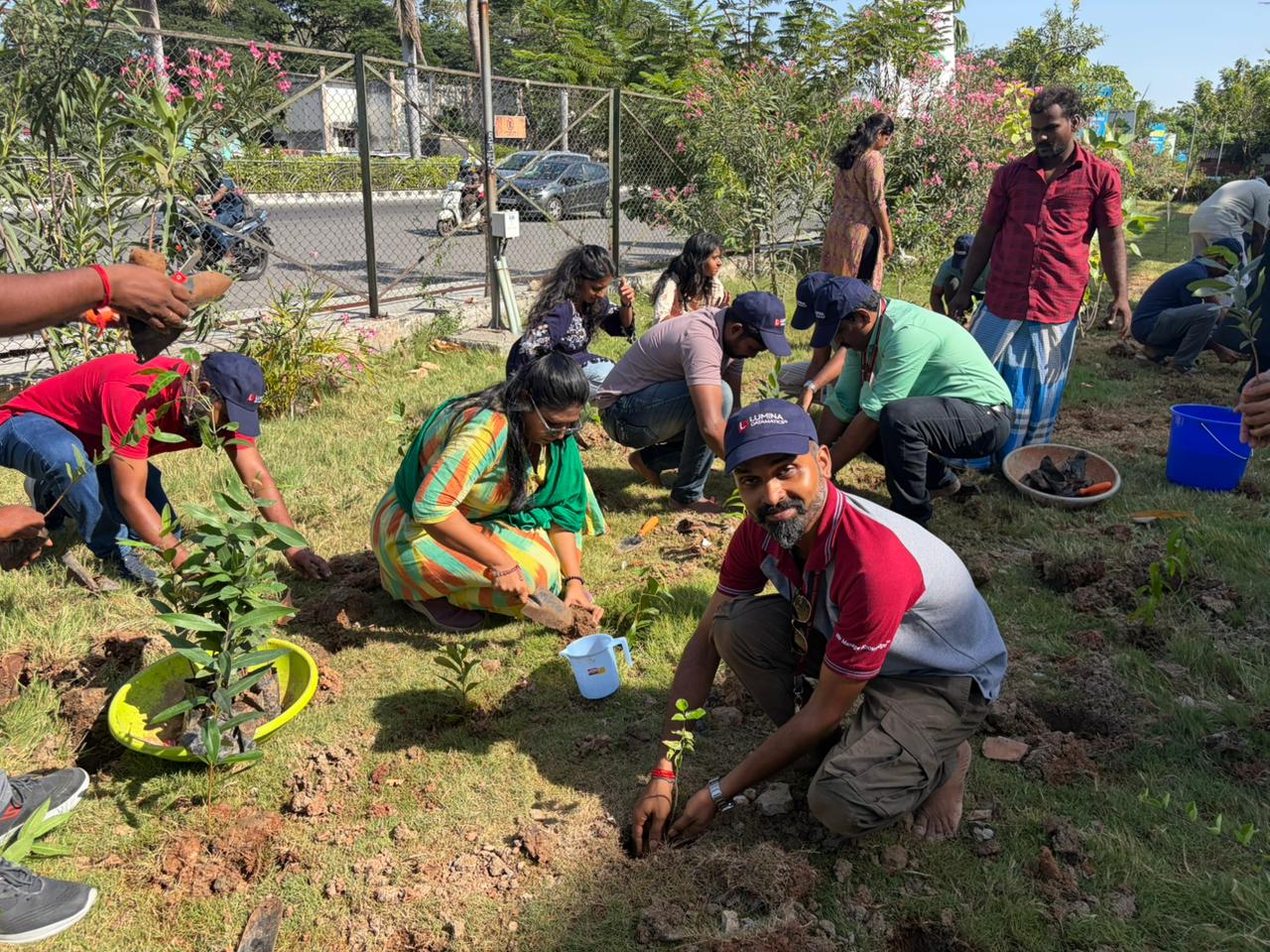Volunteers and workers planting saplings during a community drive